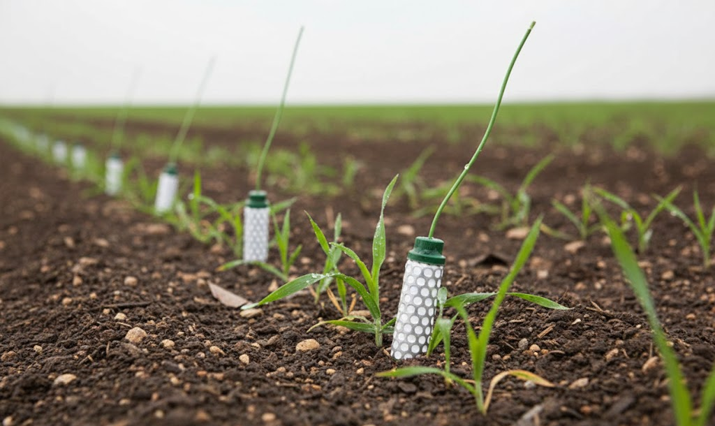 חיישן קרקע Watermark: המדריך המלא למדידת לחות קרקע בחקלאות