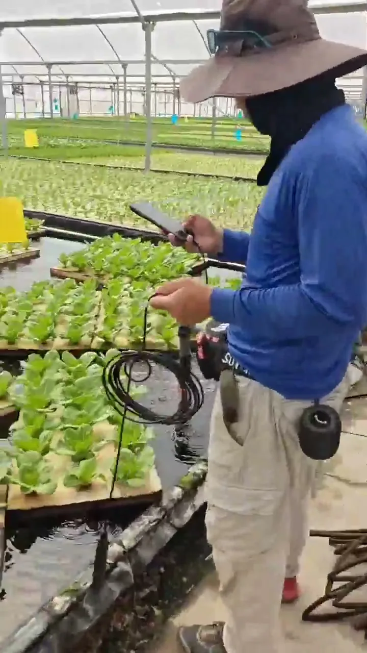A worker in a greenhouse holding a phone in one hand and lowering a cabled EC probe into a hydroponic nutrient channel with the other
