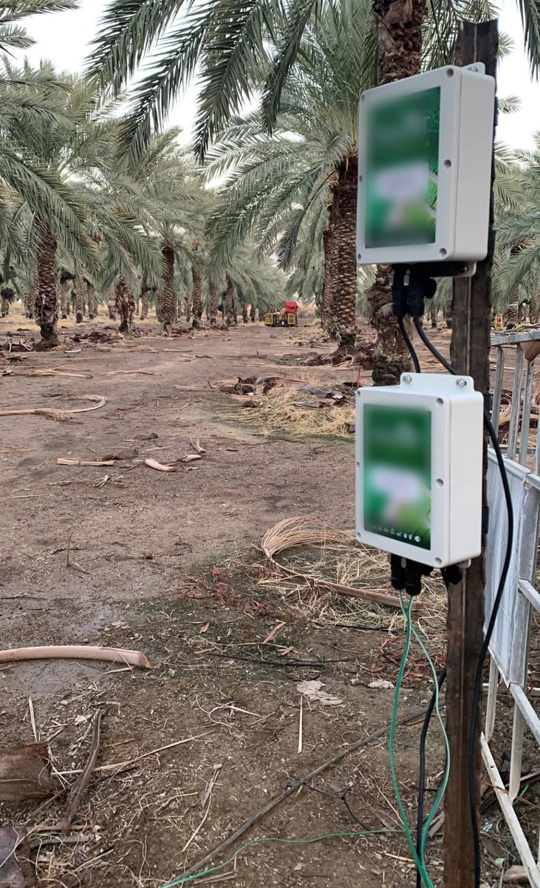 Close view of two Omni Genesis controllers mounted one above the other on a wooden post at the edge of the date orchard