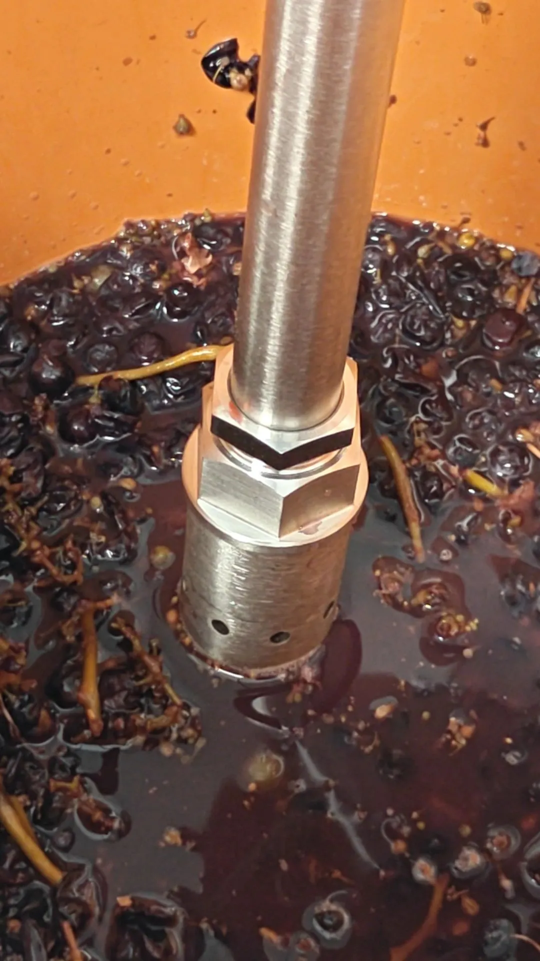 Close-up of the perforated stainless guard of a tuning fork density meter submerged in red must with grape skins and stems