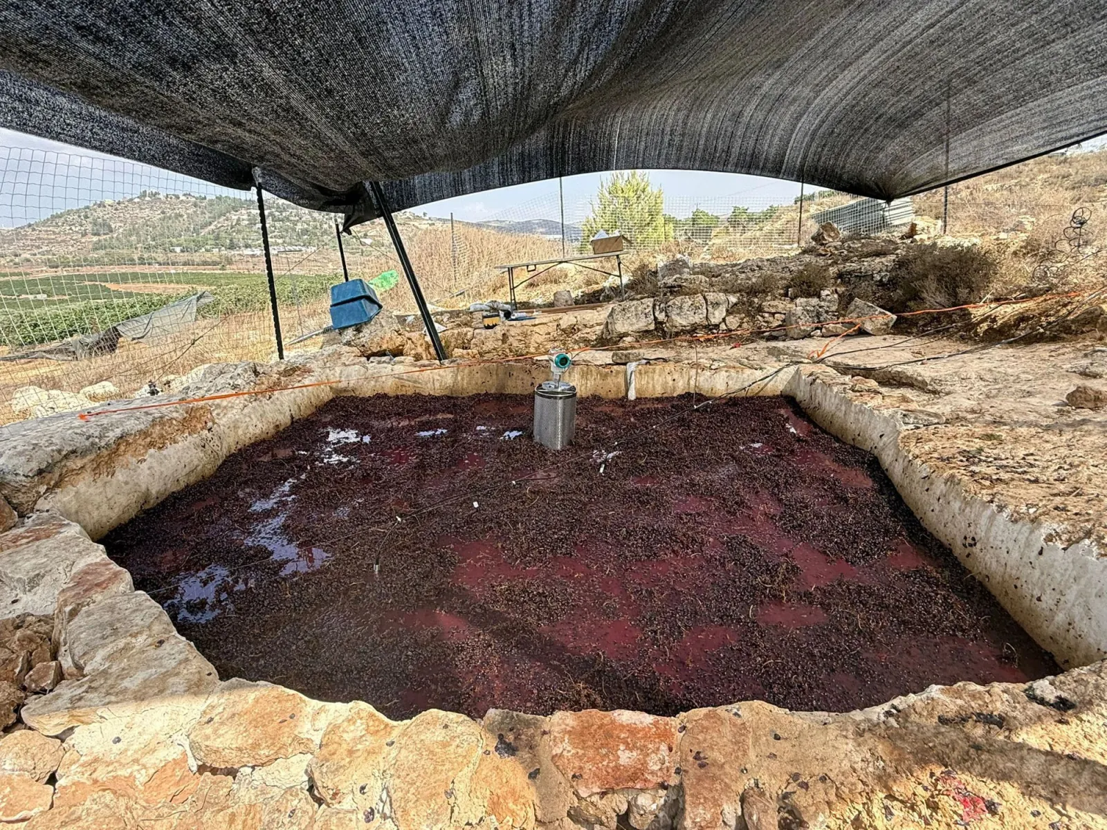 Stainless density meter standing in fermenting must inside an excavated rock-cut winepress, with vineyard terraces on the slope behind