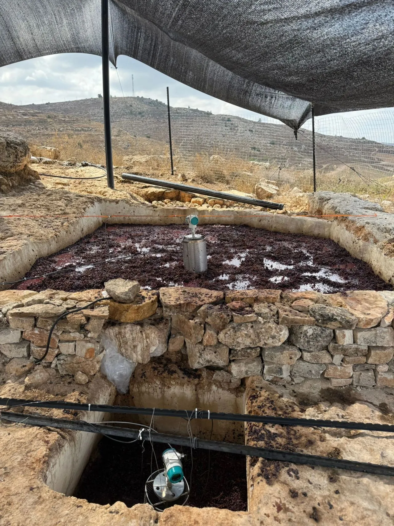 Rock-cut winepress with a density meter in the upper treading floor and a second instrument mounted over the lower collection vat