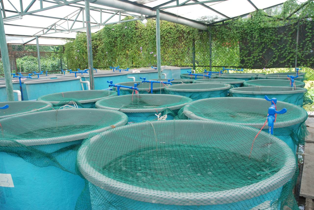 Aquaculture Monitoring Sensors